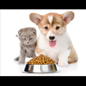 Dog And Cat Food
